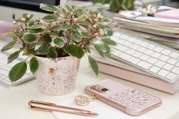 A workspace desk scene featuring a small potted plant, pink accessories, and office supplies