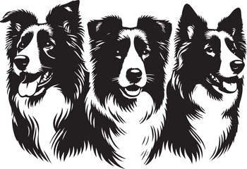 Border Collie Dog Vector – Silhouette 