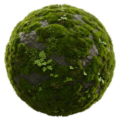 Fresh dark green cabbage with natural textured outer leaf