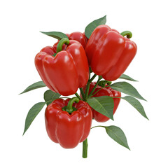 Red cherry tomatoes connected to green vine stem naturally