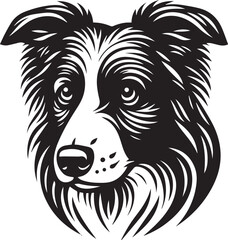 Border Collie Dog Vector – Silhouette 