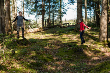 Children playfully leap on mossy tree stumps in a sun-dappled forest. A joyful moment in nature.