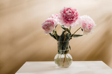 Elegant peony flower bouquet in the vase on white table with aesthetic shadows, copy space