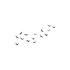 Birds in flight.
