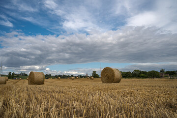 Mons en Pévèle, France, le 15 juillet 2025 : Paysage de la campagne de Mons en Pévèle, village du Nord de la France en région Hauts de France