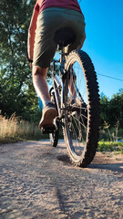 Cyclist rides mountain bike sunset trail rural field. Young man riding on bike in the countryside. Back view. Active summer holidays.