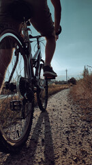 Cyclist rides mountain bike sunset trail rural field. Young man riding on bike in the countryside. Back view. Active summer holidays.