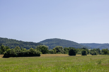 Summer fields with scattered bushes lead to rolling hills covered in coniferous forest. The warm...
