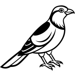 Line Art Sparrowhawk Silhouette