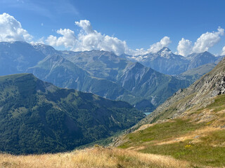 Obraz premium Auris 38