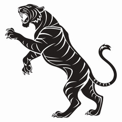 Powerful Black Tiger Standing Ready to Pounce Illustrating Fierce Energy and Aggression