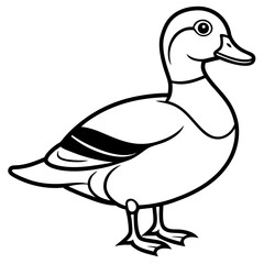 Line Drawing of a Graceful Wood Duck