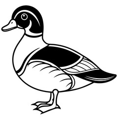 Line Drawing of a Graceful Wood Duck
