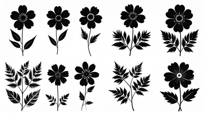 Vector black silhouettes of flowers isolated on a white background flower silhouette
