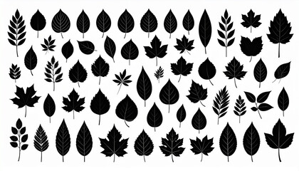 Fototapeta premium A vector silhouette image of a black collection of leaf icons set with a white background 