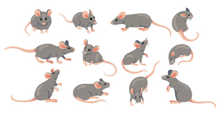 Mouse animal. Cute cartoon laboratory mouse and rat characters, funny gray rodent wildlife fauna zoo creatures in different poses. Vector mice and rats flat set