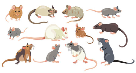 Rat collection. Cartoon cute mice and rats, adorable small comic different rodent characters, flat mice and rats home pets. Vector isolated characters set © Tartila