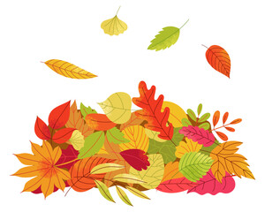 Autumn leaves pile. Cartoon fallen leaves on ground, colorful maple leaf carpet orange red yellow green colors. Vector nature autumn foliage background