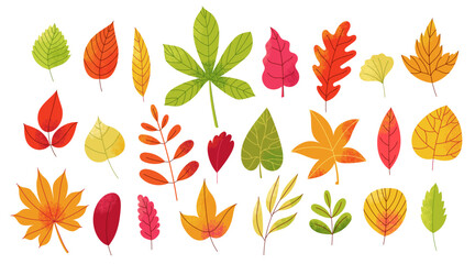 Autumn leaves set. Abstract fall forest foliage elements, botanical decorative green yellow red leaf icons, wood and garden trees leaves. Vector isolated collection
