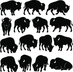bison silhouette vector, buffalo silhouette set, wild bison poses, bison collection 