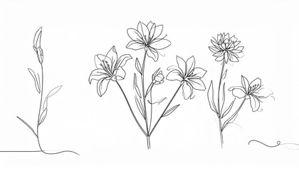 Hand drawn flat design simple flower outline
