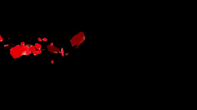 Romantic red rose petal animation with left-to-right motion