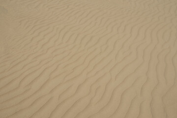 Natural Desert Sand Texture copy space