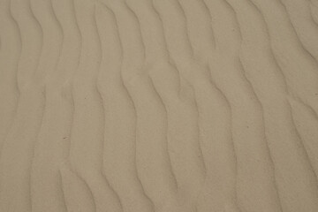 Close-Up of Wind-Swept Sand Patterns