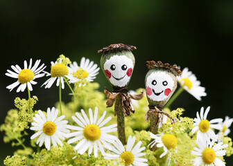 Happy little pair of smiling poppy seed heads with painted faces in a bouquet of wild chamomile (Matricaria chamomilla L.) and lady's mantle  (Alchemilla) flowers. Copy space.