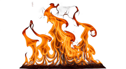 Dynamic orange flames rising from dark embers creating a mesmerizing fiery display.