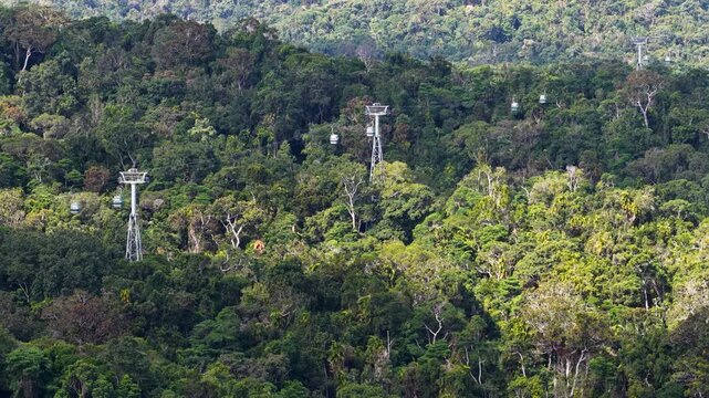 Cable Cars Glide Above Lush Rainforest Canopy