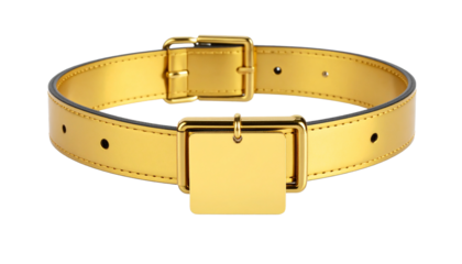 Gold cat collar with polished buckle and nameplate, sleek and fashionable pet accessory.
