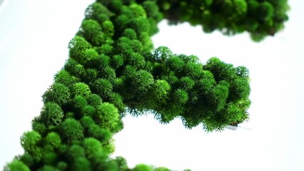 Close-up of a moss letter "E