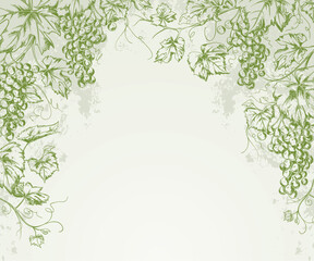 Hand-Drawn Grapevine Grape Background with Copyspace