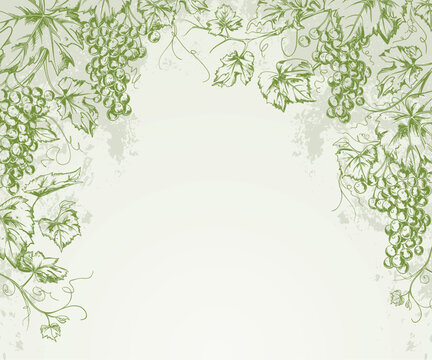 Hand-Drawn Grapevine Grape Background with Copyspace