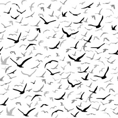 Flock of flying silhouette birds. Birds seamless pattern. White seagulls on a blue background. Vector