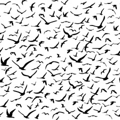Flock of flying silhouette birds. Birds seamless pattern. White seagulls on a blue background. Vector