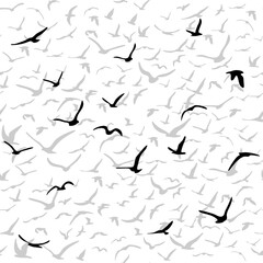 Flock of flying silhouette birds. Birds seamless pattern. White seagulls on a blue background. Vector
