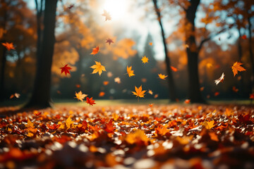 Autumnal Maple Leaves Falling Magic Woodland Scenery Landscape