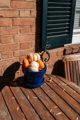 Colorful pumpkin decor enhances autumn charm in Alexandria, Virginia on a sunny October day
