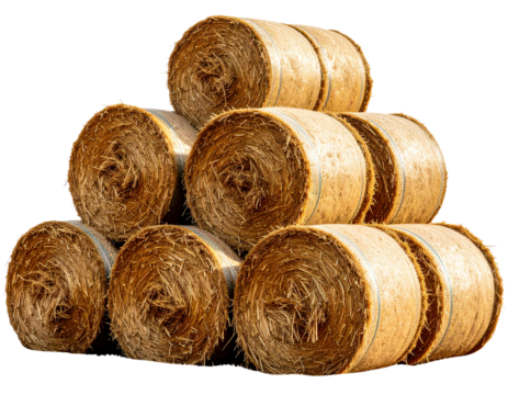 Cylindrical Hay Bales Piled High in Countryside Layout Transparent Background PNG