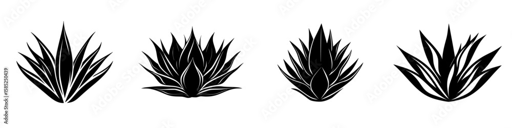 Poster black icon of various succulent plants displayed in a row illustrating different shapes and sizes in