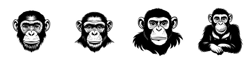 Obraz premium Different expressions of black monkey icons featuring detailed facial traits and unique characteristics of each depiction