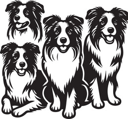 Border Collie Dog Vector – Silhouette 