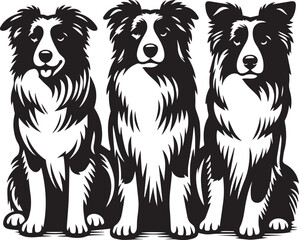 Border Collie Dog Vector – Silhouette 