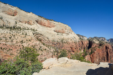View through Scenery in Zion National Park, Utah, USA from the trail to Angel's landing