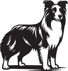 Border Collie Dog Vector – Silhouette 