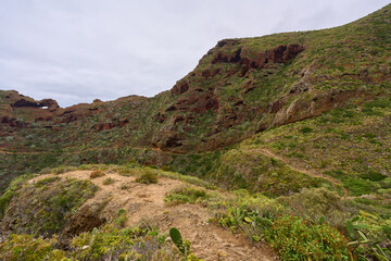 Mountains of Anaga, in Tenerife