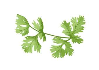 celery leaves