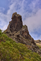 Volcanic hillside with agaves in Teno